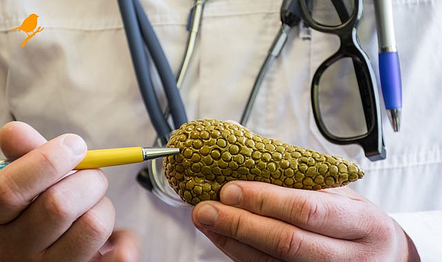 Pankreas kanseri ve belirtileri nelerdir?