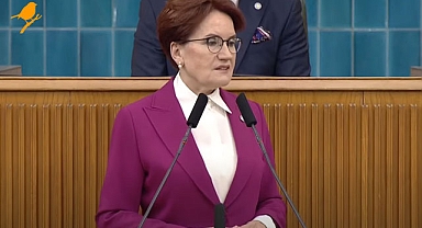 Meral Akşener'den Sinan Ateş açıklaması: Ailesinin özel talebi...