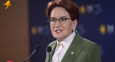 Meral Akşener'den Cumhurbaşkanı Erdoğan'a sert sözler