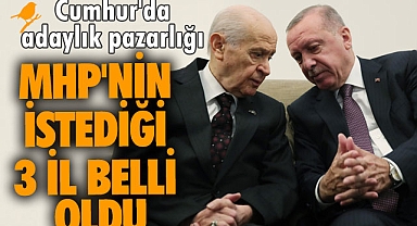 Cumhur İttifakı'nda adaylık pazarlığı: MHP'nin istediği 3 il belli oldu