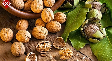 Cevizin gücü: Günde beş adetin şaşırtıcı etkileri