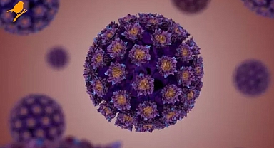 HPV virüsü nedir, belirtileri nelerdir? HPV belirtilerini kadınlar göz ardı etmemeli