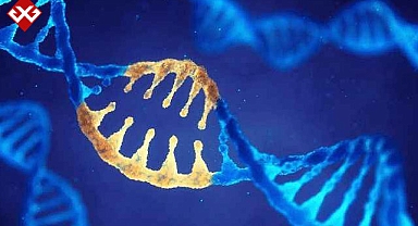 Genetiği değiştirilmiş virüsler: Hastalıkların tedavisinde yeni bir umut