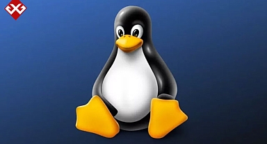 Linux'ta yeni dönem: Mavi Ekran hataları geliyor