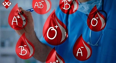 Dünyanın en tembel kan grubu olarak seçildi